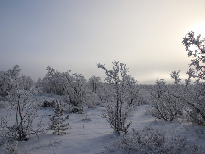 paysage hiver laponie suède