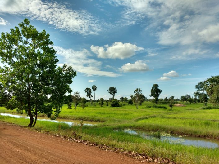 asie sud-est cambodge campagne